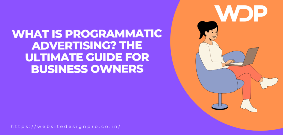 Purple hero banner with bold white title: 'What is programmatic advertising? The ultimate guide for business owners' and an illustration of a woman at a laptop inside an orange circular arc with the WDP logo, plus the site URL at bottom left.