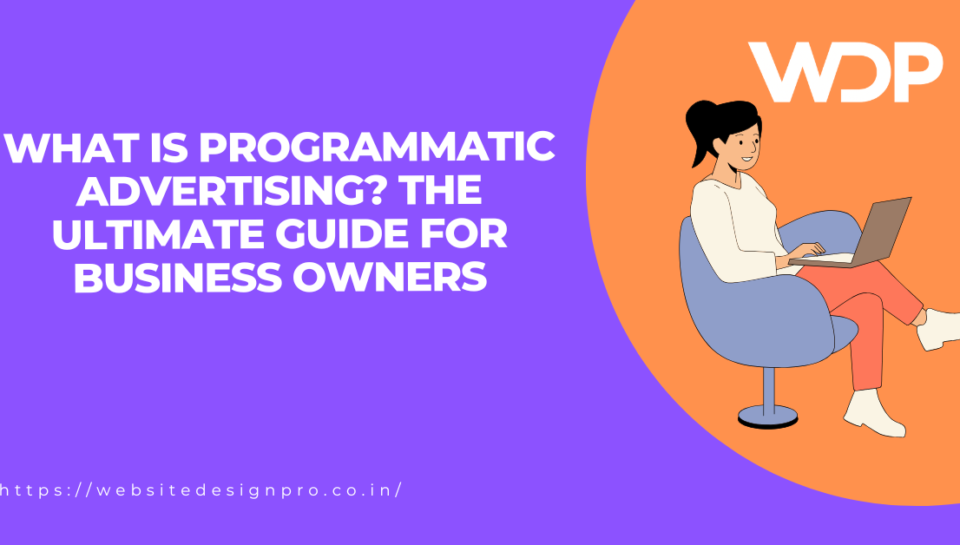 Purple hero banner with bold white title: 'What is programmatic advertising? The ultimate guide for business owners' and an illustration of a woman at a laptop inside an orange circular arc with the WDP logo, plus the site URL at bottom left.